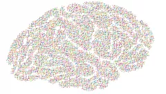 Autonomous Systems — Is it time for empirical research?
